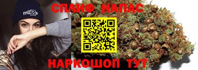 тгк Тула