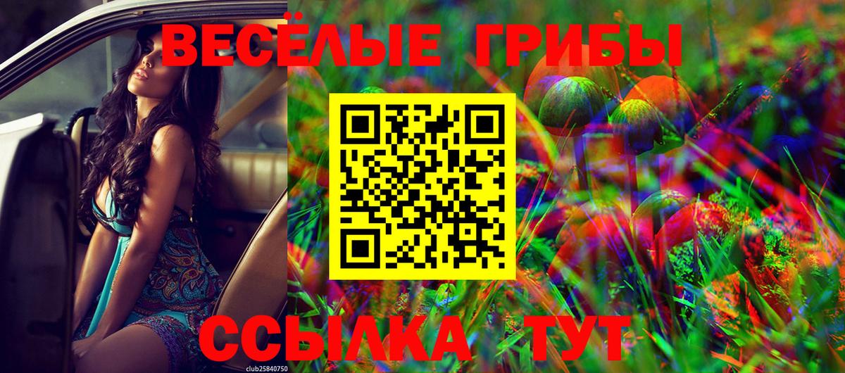 Галлюциногенные грибы Cubensis Новосибирск