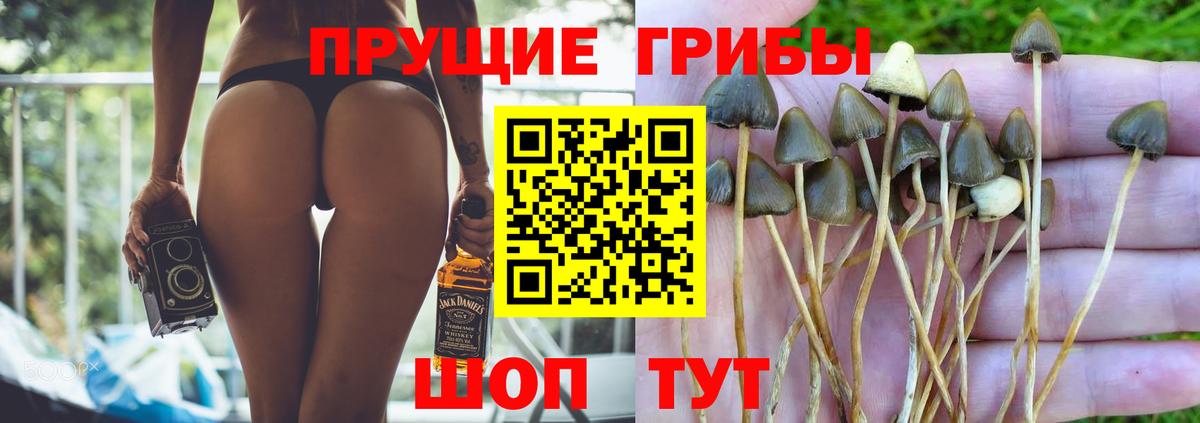 Псилоцибиновые грибы Magic Shrooms  Вход с VPN  Новосибирск 